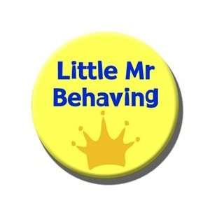  A Little Mr Behaving Baby