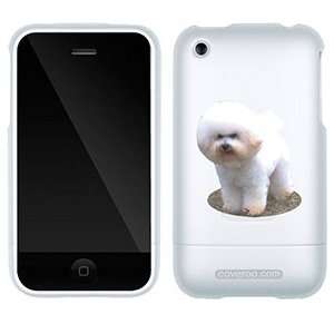  Bichon Frise on AT&T iPhone 3G/3GS Case by Coveroo 