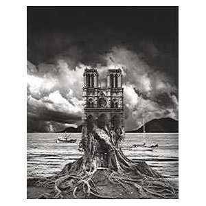  Thomas Barbey   Stumped Canvas