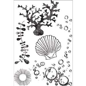  Rock Pool Clear Stamps   KaiserCraft