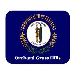  US State Flag   Orchard Grass Hills, Kentucky (KY) Mouse 