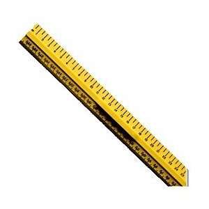  Ruler, Junior Desk, Metric Scale, 30 cm Industrial 