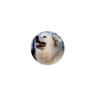  American Eskimo Dog 1in Button C0011: Everything Else