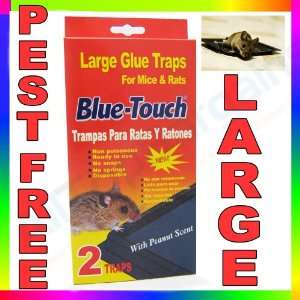 com 2 Pack Blue Touch Large Glue Trap For Mice Rats Pest Board Mouse 