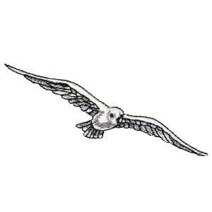 Lovely White Snow Petrel Shore Water Bird Iron on Patch  