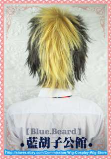 Blue Exorcist Ryuji Suguro Cosplay Wig Costume  