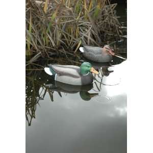  TangleFree™ Floating Standard Mallard Decoys 12 Pk 