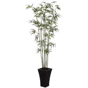  78 Bamboo Tree X9 W/540 Lvs. in Tall Wood Container Green 