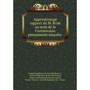  Apprentissage rapport de M. Briat au nom de la Commission 