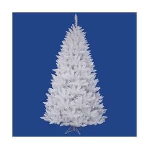  5.5 x 40 White Spruce Tree 159Tips: Arts, Crafts 