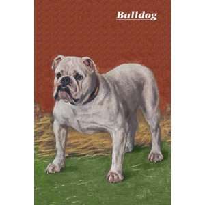  White Bulldog by Unknown 12x18