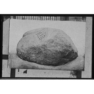  Plymouth Rock