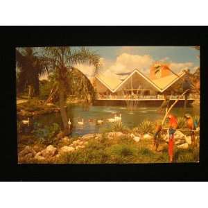  Hospitality House, Busch Gardens, Tampa, FL Postcard: not 