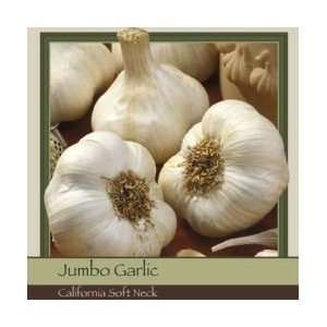  Honeyman Farms Garlic California Softneck   10 Pack: Patio 