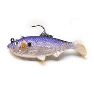  2.50 Shad   Purple Back Alewife 2/pk (Pre order): Sports 