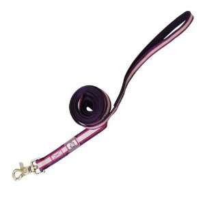  Olly Dog Nightlife II Reflective Leash Eggplant/Fuchsia 