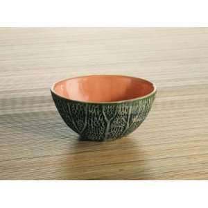  Cantaloupe Breakfast Bowl  Single: Home & Kitchen