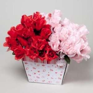  Red and Pink Rose Bushes Case Pack 72: Home & Kitchen