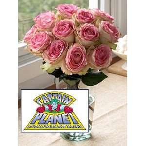 Captain Planet Crown Majesty Roses:  Grocery & Gourmet Food