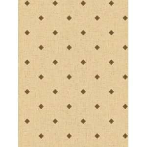  Wallpaper Steves Color Collection   Brown BC1581876: Home 