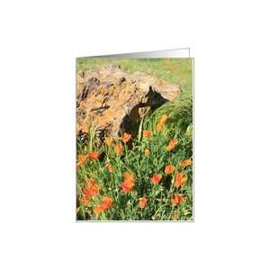  Thank You California Poppy Flowers Card Health & Personal 