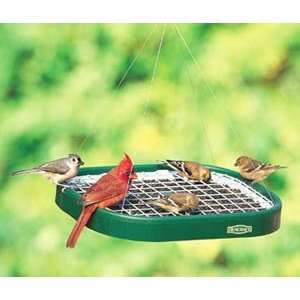  Squirrel Blocker Platform Bird Feeder: Everything Else