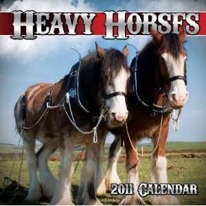 2011 Animal Calendars Heavy Horses   12 Month   30x30cm 
