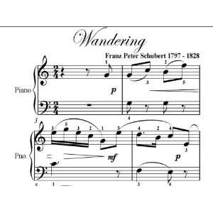   Wandering Schubert Big Note Piano Sheet Music: Franz Schubert: Books