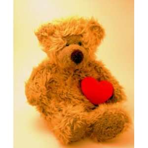  13 Smooches the Bear with Valentine Heart plush: Toys 