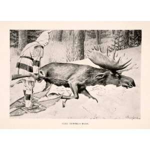  1898 Halftone Print Cree Hunter Native American Bull Moose 