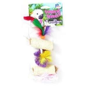   Prevue Pet Products Tropical Teasers Mojito Bird Toy