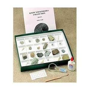 Know Your Fossil Collection  Industrial & Scientific