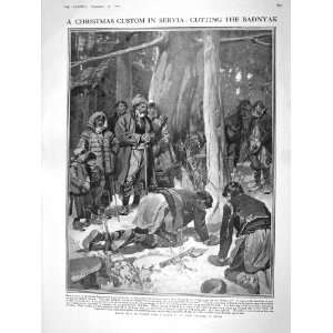  1909 CHRISTMAS SERVIA CUTTING BADNYAK FOREST HAENEN