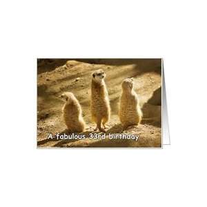  Three meerkats   Happy 33rd Birthday Card: Toys & Games