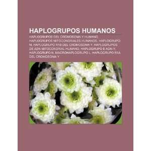 Haplogrupos humanos: Haplogrupos del cromosoma Y humano, Haplogrupos 