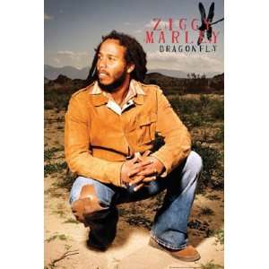  ZIGGY MARLEY DRAGONFLY POSTER 24 X 36 #3309: Home 