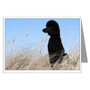  Sitting Poodle Greeting Cards Pets Greeting Cards Pk of 10 