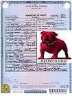 Alphonse Al Scarface Capone Death Certificate Copy 0706