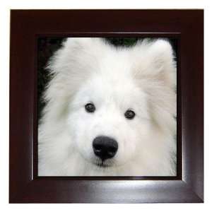  Samoyed Puppy Dog Framed Tile G0760: Everything Else
