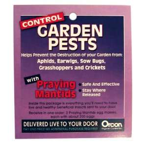  Orcon PM C6 Live Praying Mantis Egg Case, 6 Count Patio 
