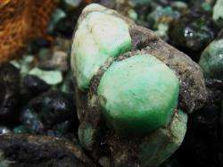   of Unsearched Natural Emerald Rough + a FREE Faceted Gemstone  
