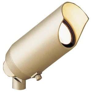   Accent Light with Flood Bulb and Heat Resistant Flat Glass Lens, Brass