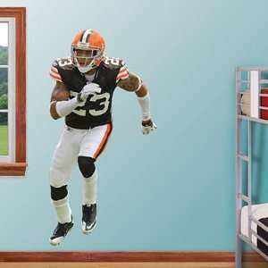  Joe Haden Cleveland Browns NFL Fathead REAL.BIG Wall 