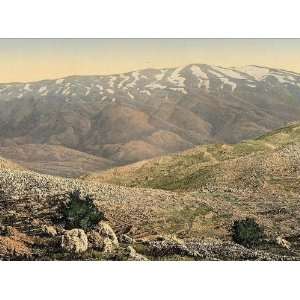  Vintage Travel Poster   General view Mount Hermon Holy 