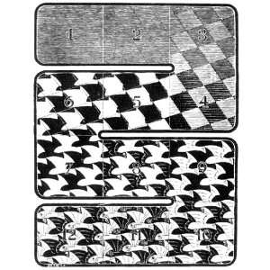     Maurits Cornelis Escher   32 x 42 inches   mouch