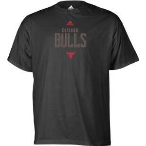 Chicago Bulls Ziggy T Shirt:  Sports & Outdoors