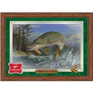   High Life Northern Pike Reflective Wall Mirror: Sports & Outdoors