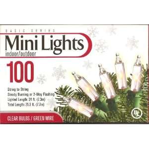   Lights Indoor/Outdoor Clear Bulbs/Green Wire Patio, Lawn & Garden