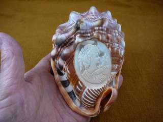 443 H) Sea shell carved Italian Lady CAMEO Helmet conch shells 