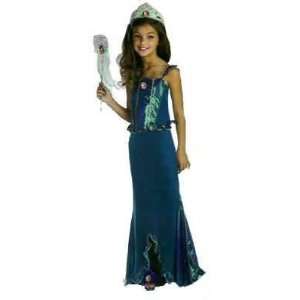   Disney TM Deluxe Costume (Wand, jelly shoes and Tiara not included